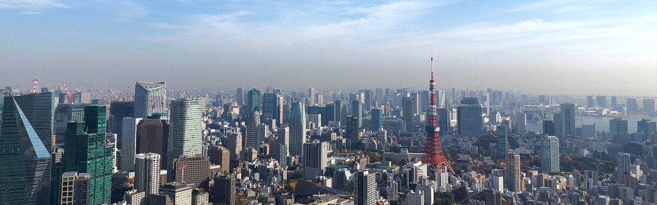 【小田原市】相続税対策で不動産を活用するメリット・デメリットと活用事例